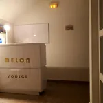 Melon * Водице